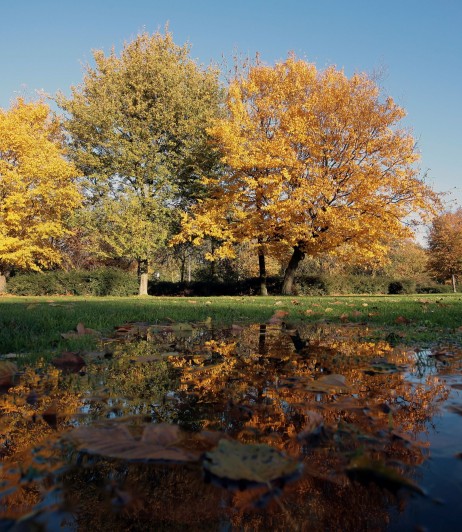 Herbst & Wintersaison Wohnmobilstellplatz Amsterdam