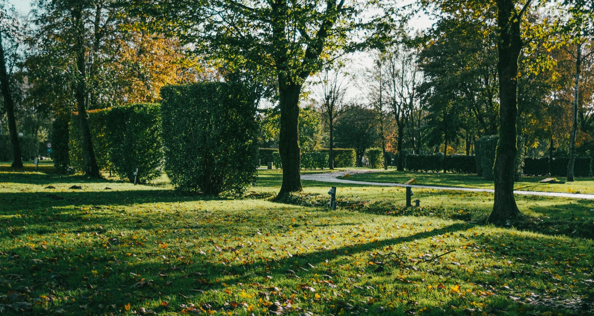 Grasfläche mit Bäumen im Grünen von Camperpark Amsterdam